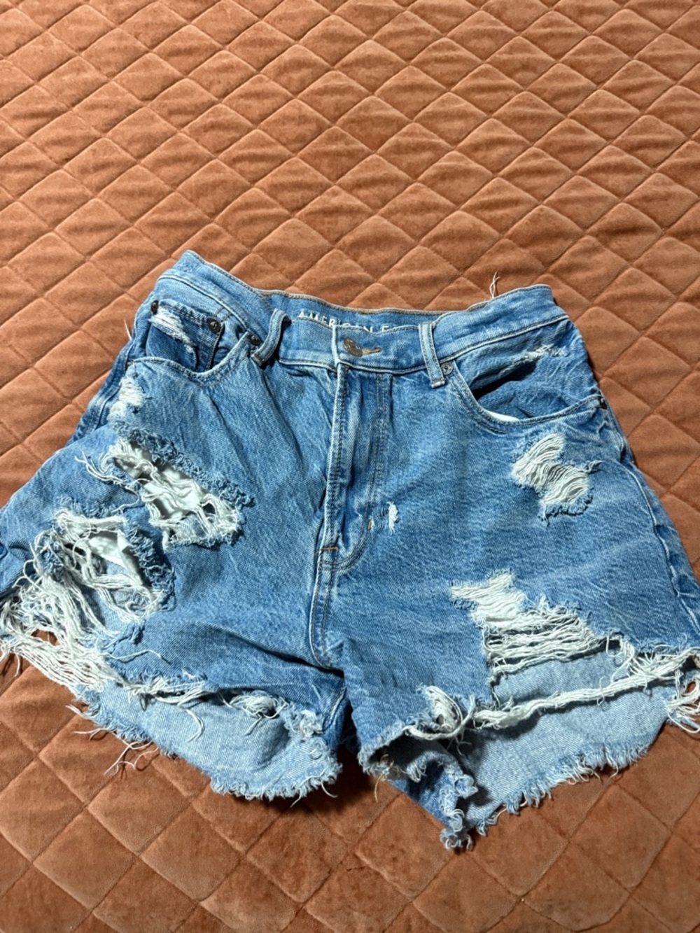American Eagle Outfitters Distressed Light Blue Denim Cutoff Shorts